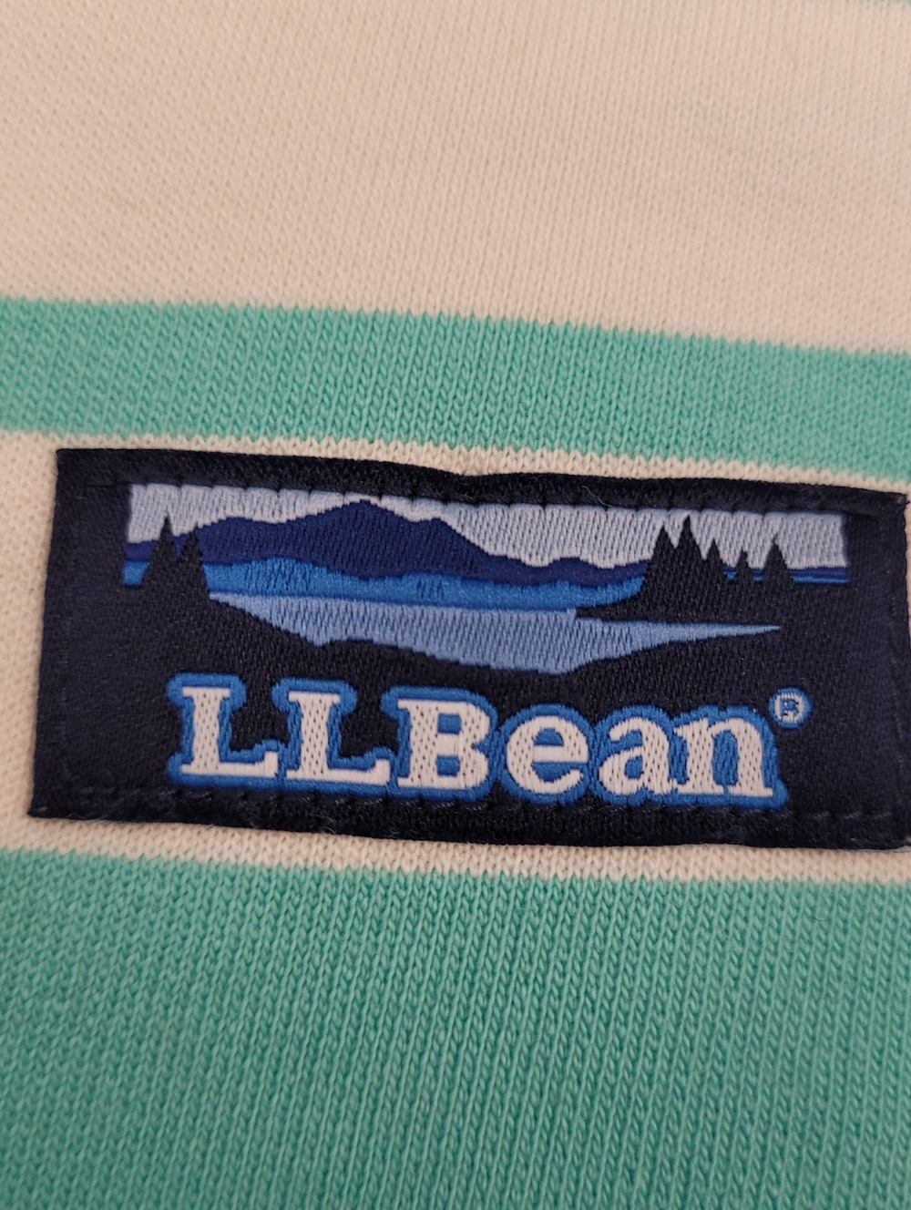 L.L. Bean Sweatshiry Striped Button Collar Pullover Teal Chambray Medium - Picture 6 of 10